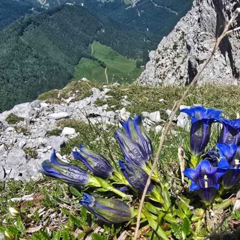 triglavska jezera foto 2.jpg