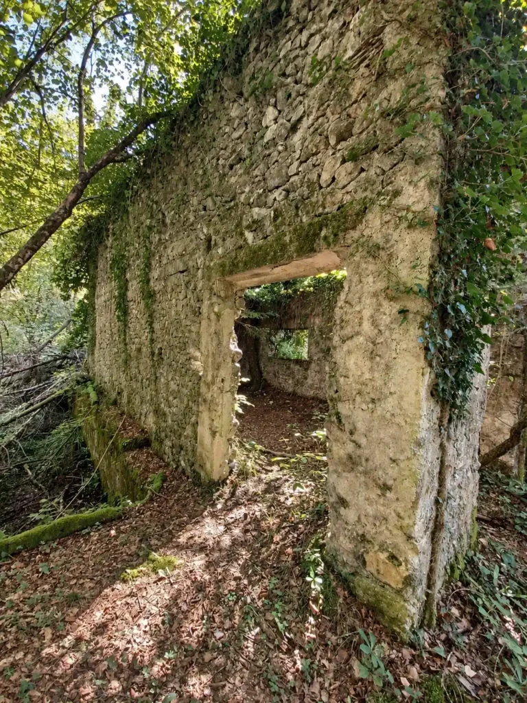 Žumberak i Gorjanci – dvodnevna planinarska tura 01 gorjanci zumberak ivy covered stone ruins