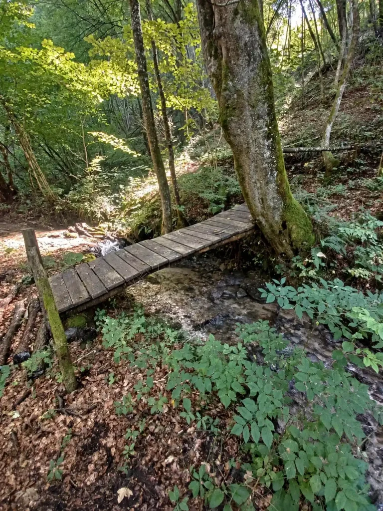 Žumberak i Gorjanci – dvodnevna planinarska tura 02 gorjanci zumberak wooden footbridge over forest stream