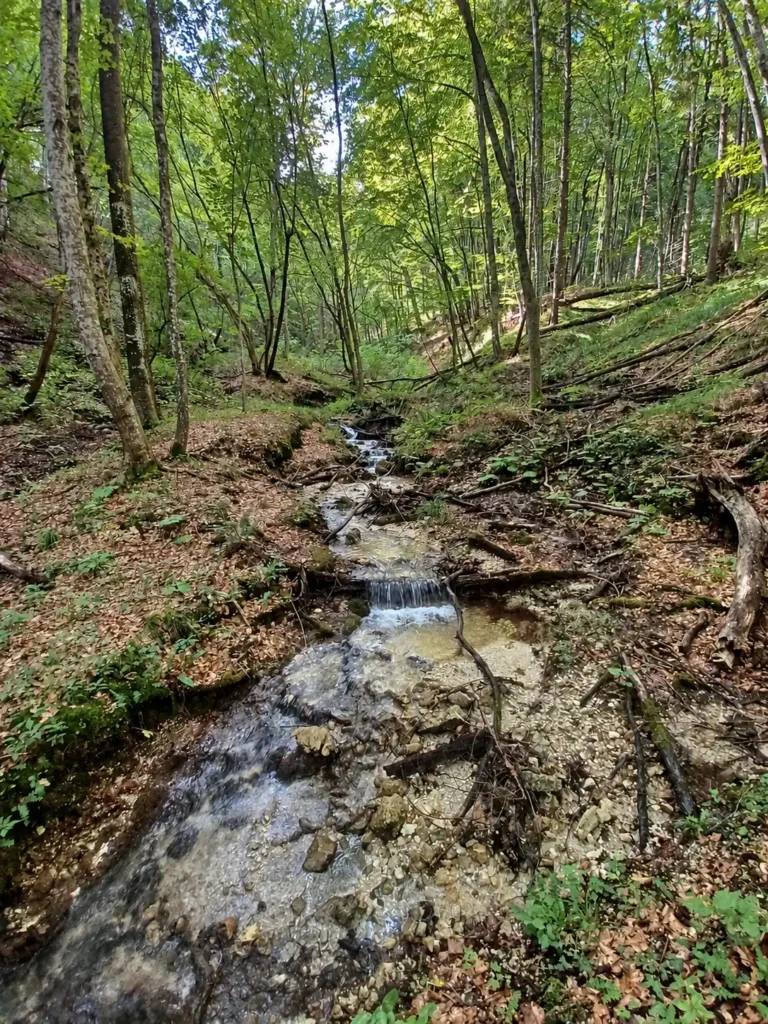 Žumberak and Gorjanci – two-day guided hiking tour A shallow stream flows over small cascades between wooded slopes.