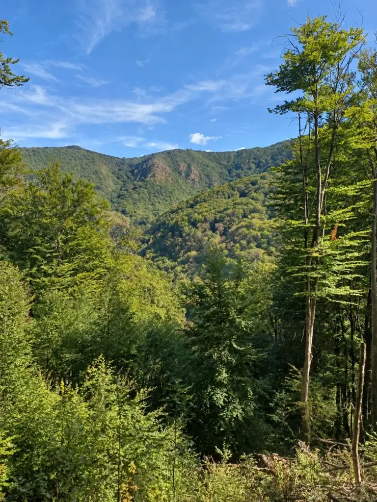 Žumberak and Gorjanci – two-day guided hiking tour A view across a densely forested valley towards a rocky ridge beneath blue skies.